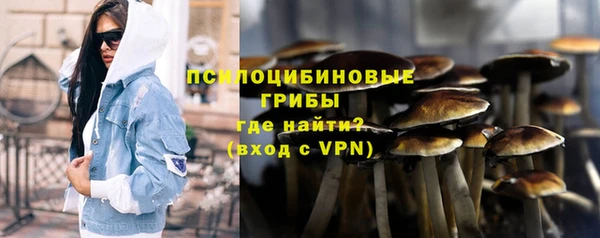 герыч Ельня