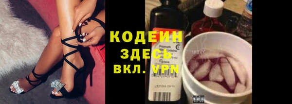 ПСИЛОЦИБИНОВЫЕ ГРИБЫ Елабуга