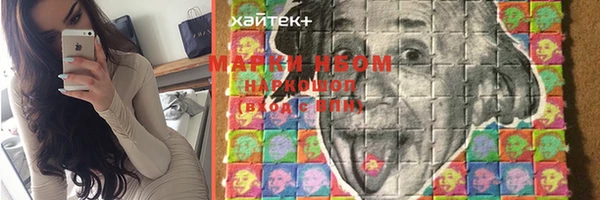 ПСИЛОЦИБИНОВЫЕ ГРИБЫ Елабуга