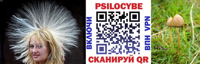 что такое   Славянск-на-Кубани  Галлюциногенные грибы мухоморы 